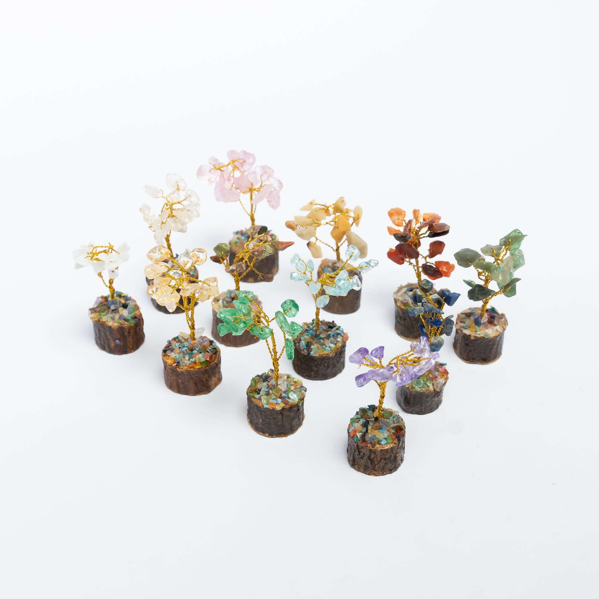 12 Trees Set - ShudhShakti