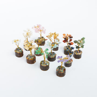 12 Trees Set - ShudhShakti
