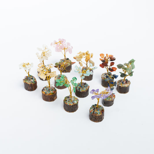 12 Trees Set - ShudhShakti