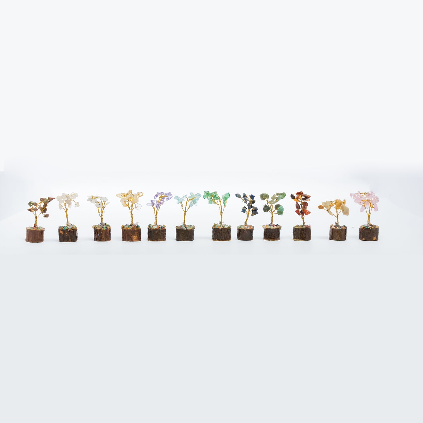 12 Trees Set - ShudhShakti