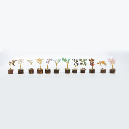 12 Trees Set - ShudhShakti